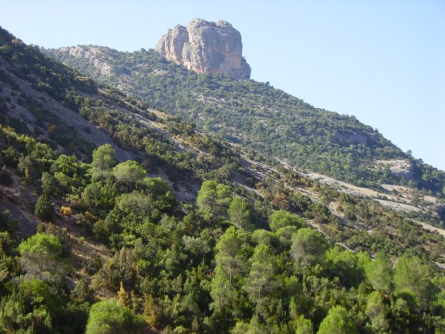imgp0733.jpg
