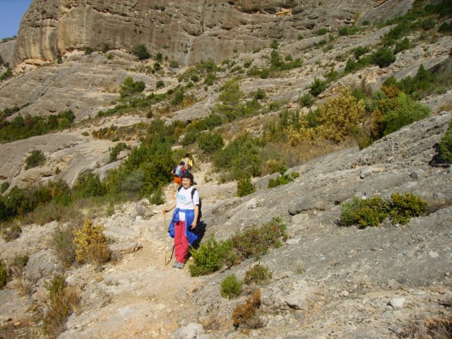imgp0735.jpg