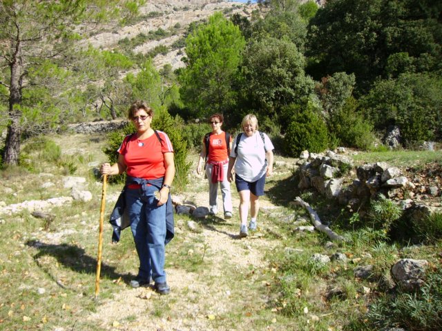 imgp0739.jpg