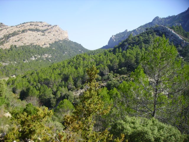 imgp0740.jpg