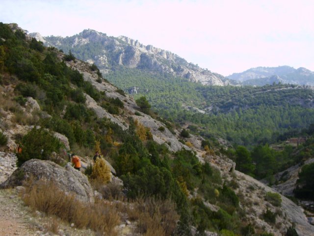 imgp0764.jpg