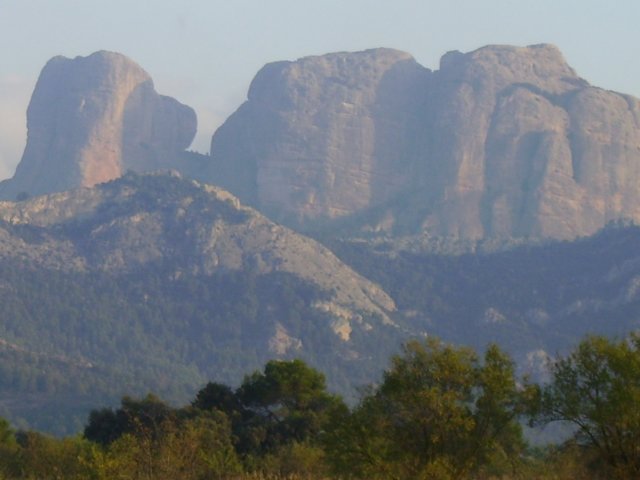 imgp0823.jpg