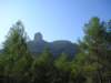 p1010003_small.jpg