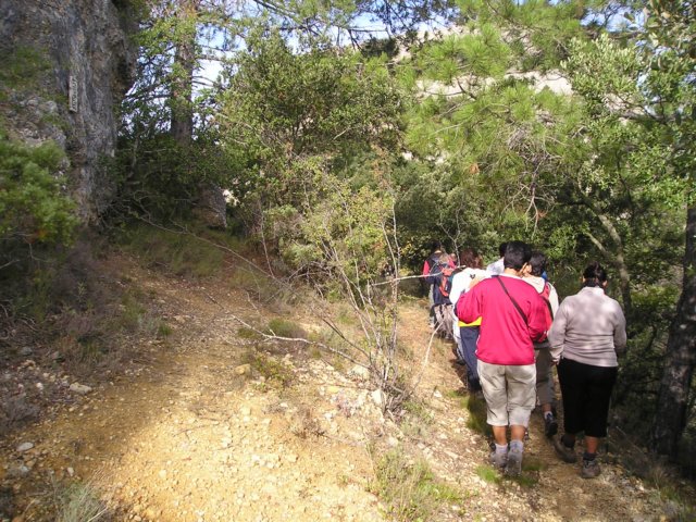 p1010014.jpg