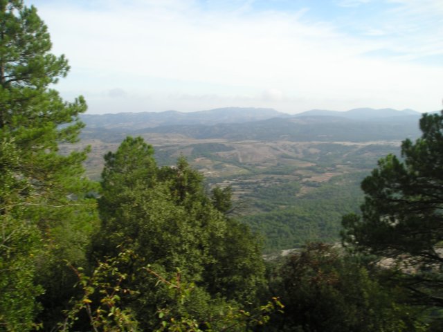 p1010022.jpg