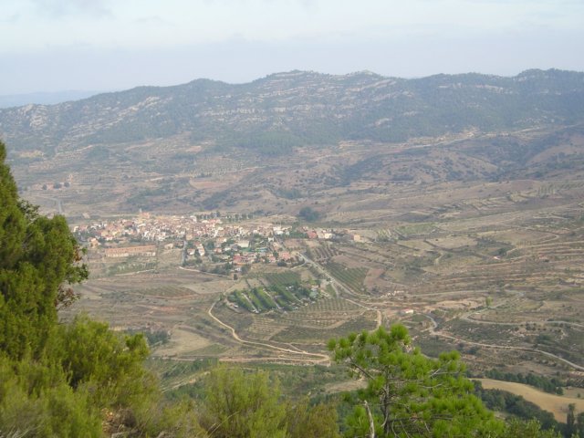 p1010026.jpg