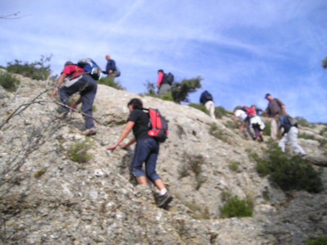 p1010028.jpg