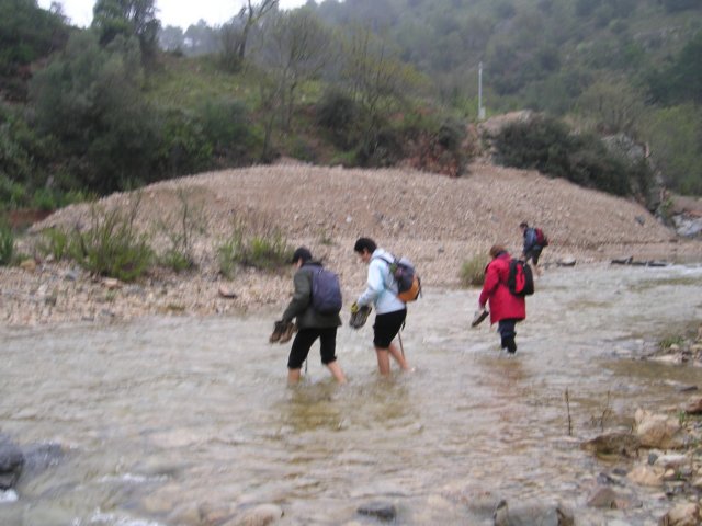 p1010019.jpg
