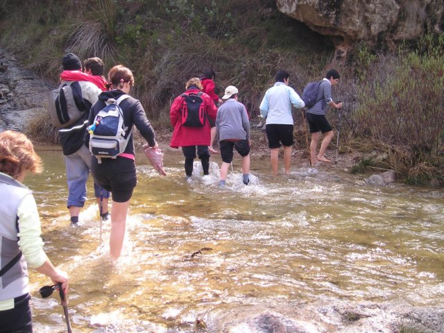 p1010035.jpg