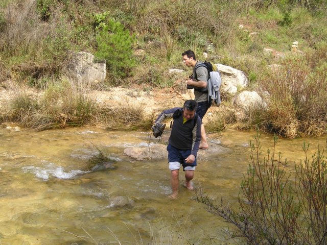 p1010039.jpg