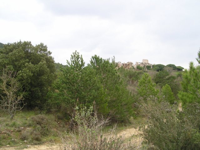 p1010040.jpg