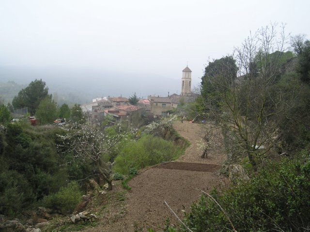 p1010045.jpg