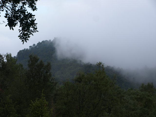 pb221727.jpg