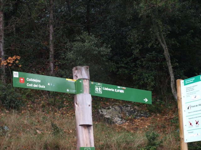 pb221728.jpg