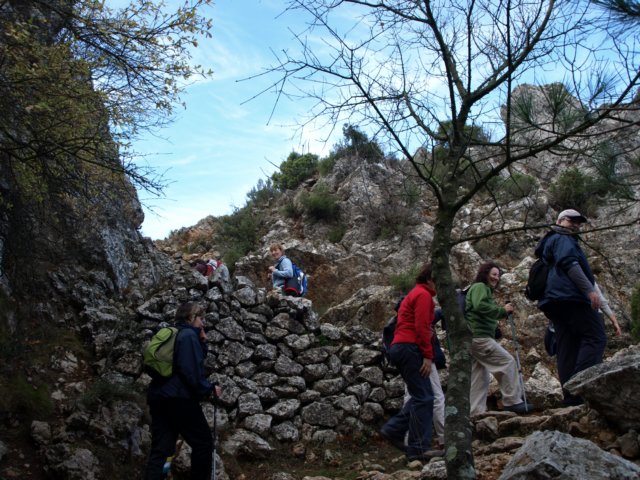 pb221740.jpg