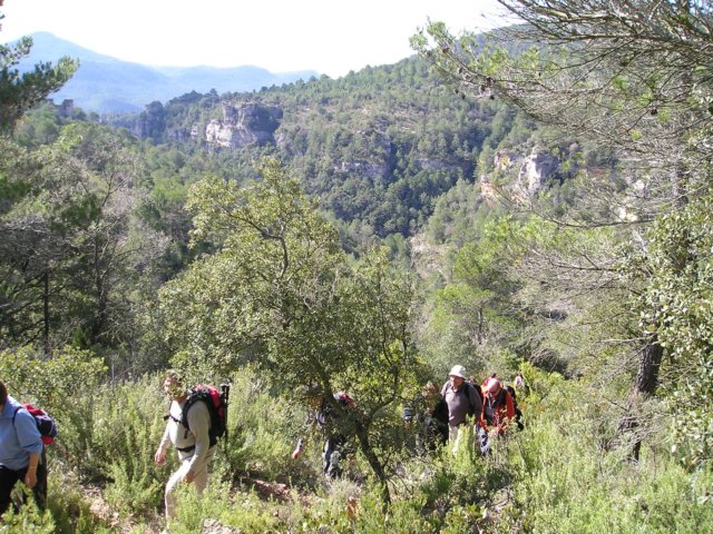 p1010115.jpg