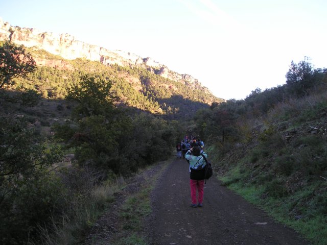 p1010013.jpg