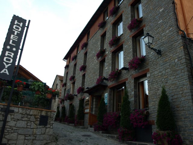 p8291329.jpg
