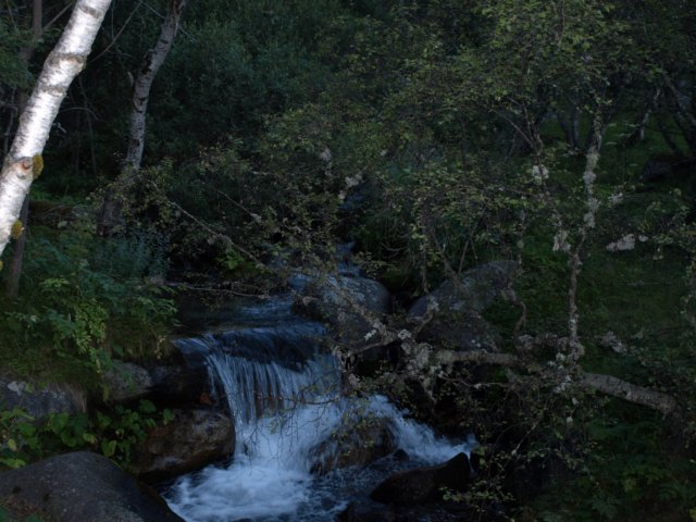 p8301339.jpg