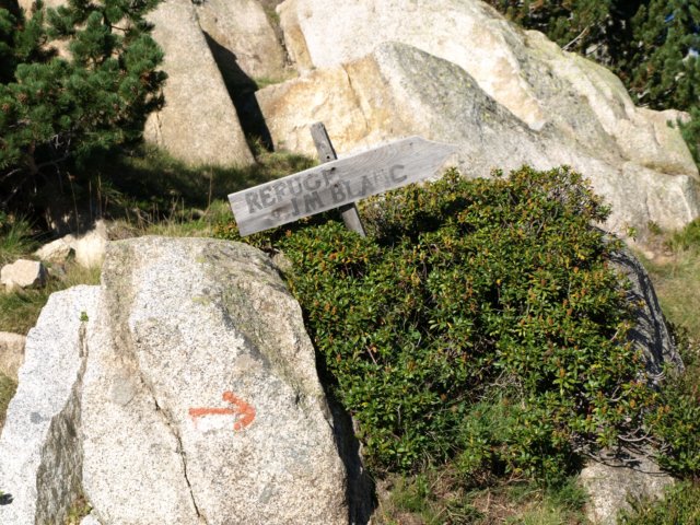 p8301362.jpg