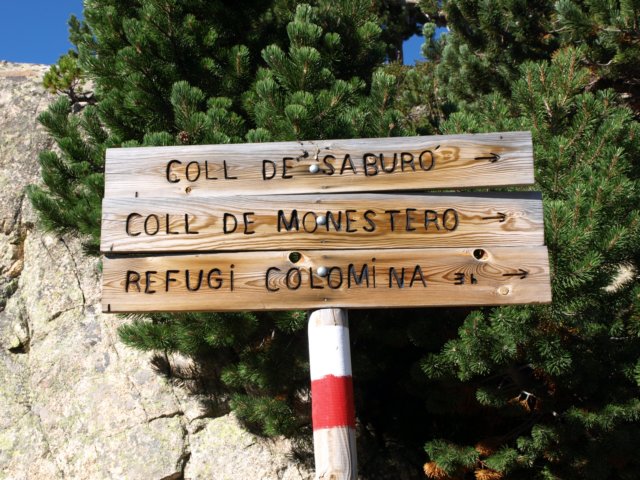 p8301369.jpg
