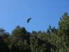 p8301418_small.jpg