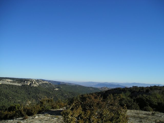 p1010440.jpg