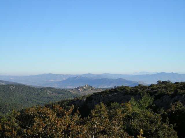 p1010443.jpg