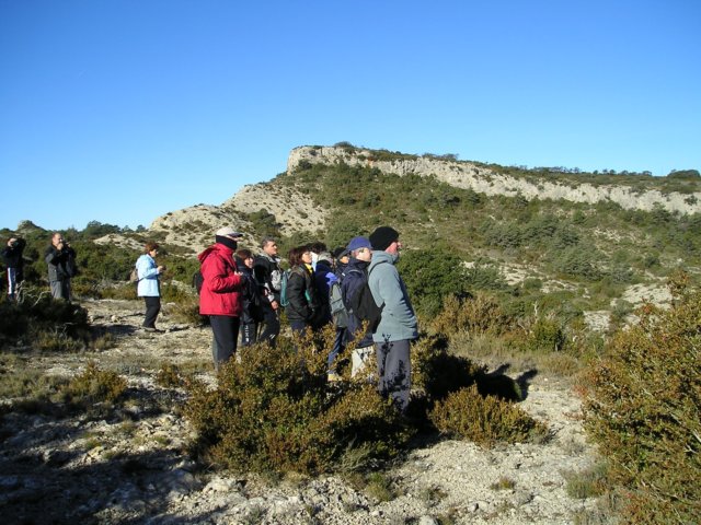 p1010445.jpg