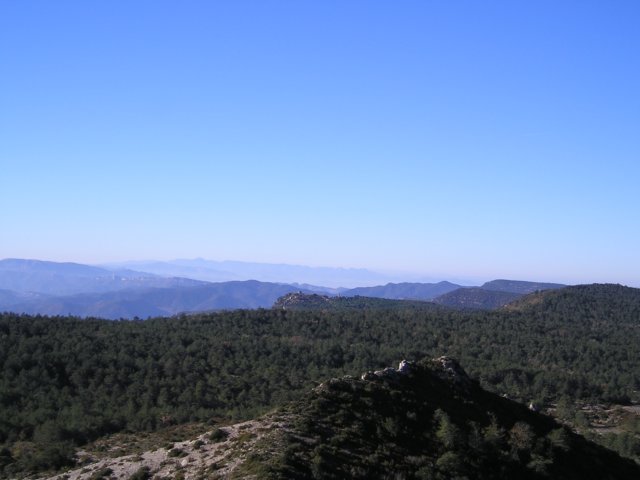 p1010449.jpg
