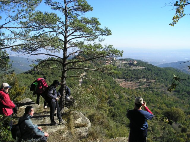 p1010455.jpg