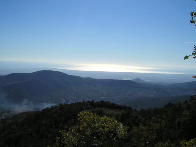 p1010458.jpg