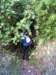 p1010006_small.jpg