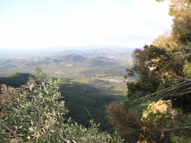 p1010015.jpg
