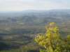 p1010017_small.jpg