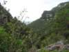 p1010024_small.jpg