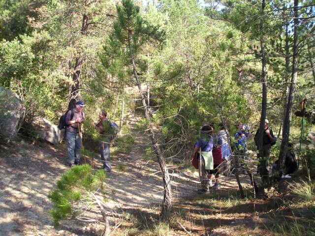 p1010032.jpg