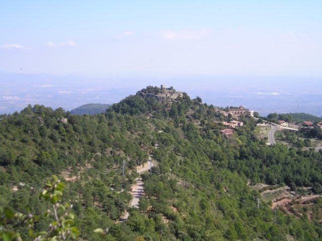 p1010044.jpg