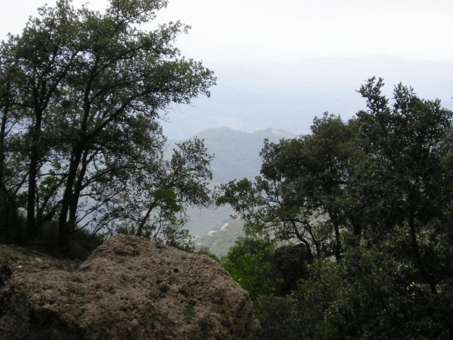 p1010133.jpg