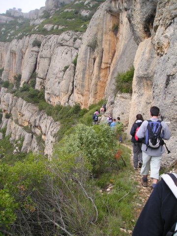 p1010140.jpg