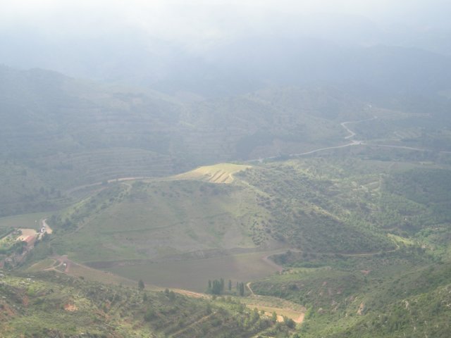 p1010143.jpg