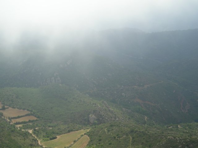 p1010144.jpg