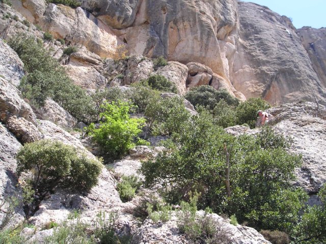 p1010163.jpg