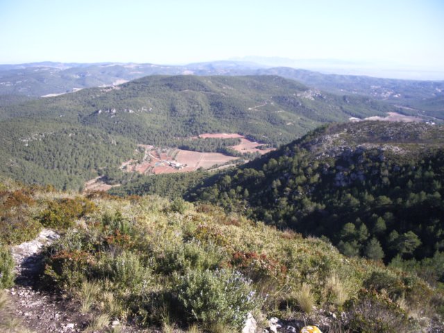 imgp4267.jpg