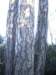 imgp4284_small.jpg