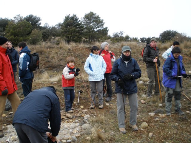 p2210061.jpg