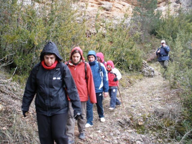 p2210067.jpg