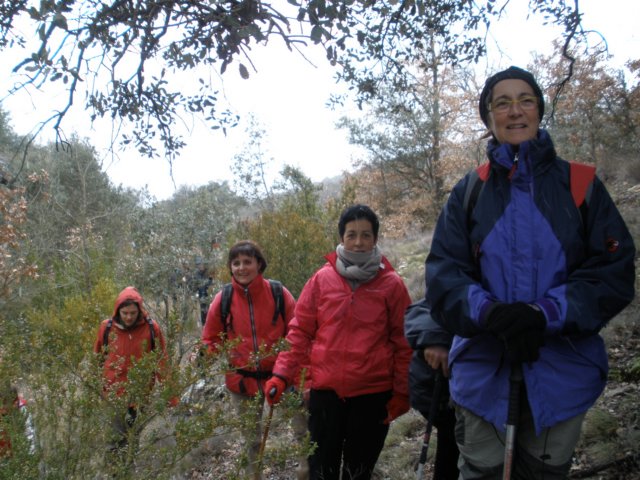 p2210072.jpg