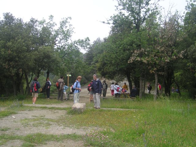 p1010183.jpg