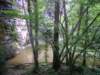 p1010187_small.jpg